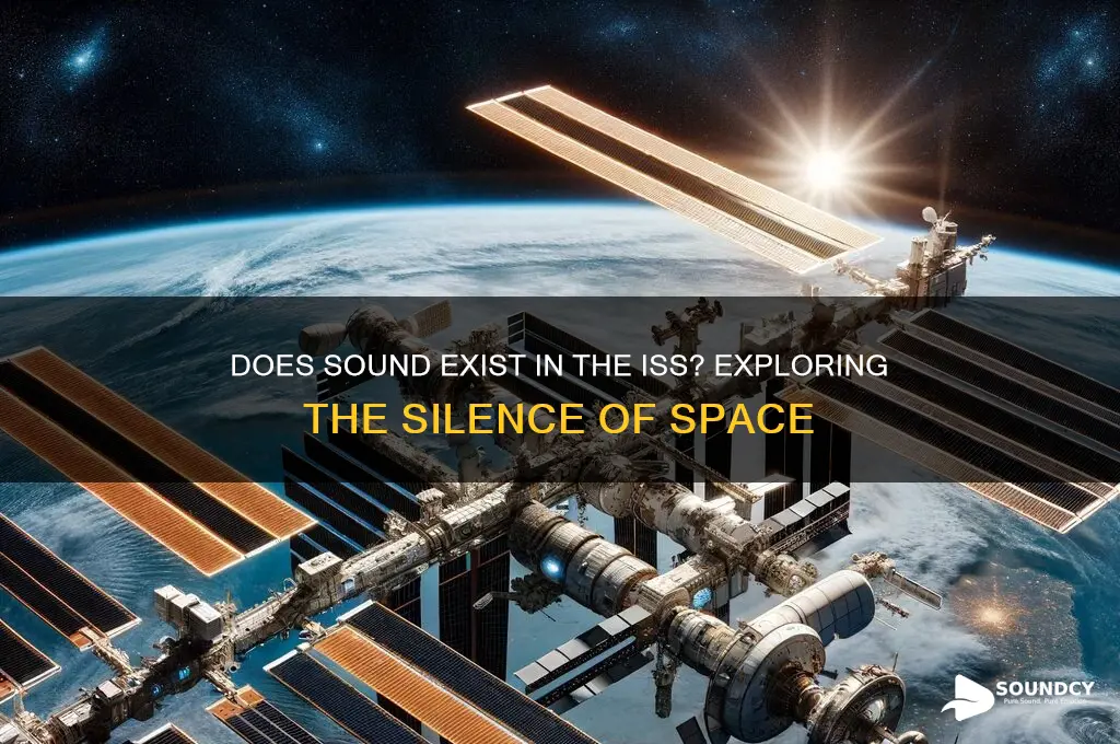 is sound in the iss