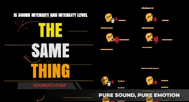 Understanding Sound: Intensity vs. Intensity Level Explained