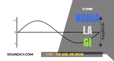Understanding the Meaning of 'Is Sound Nghia La Gi' Explained