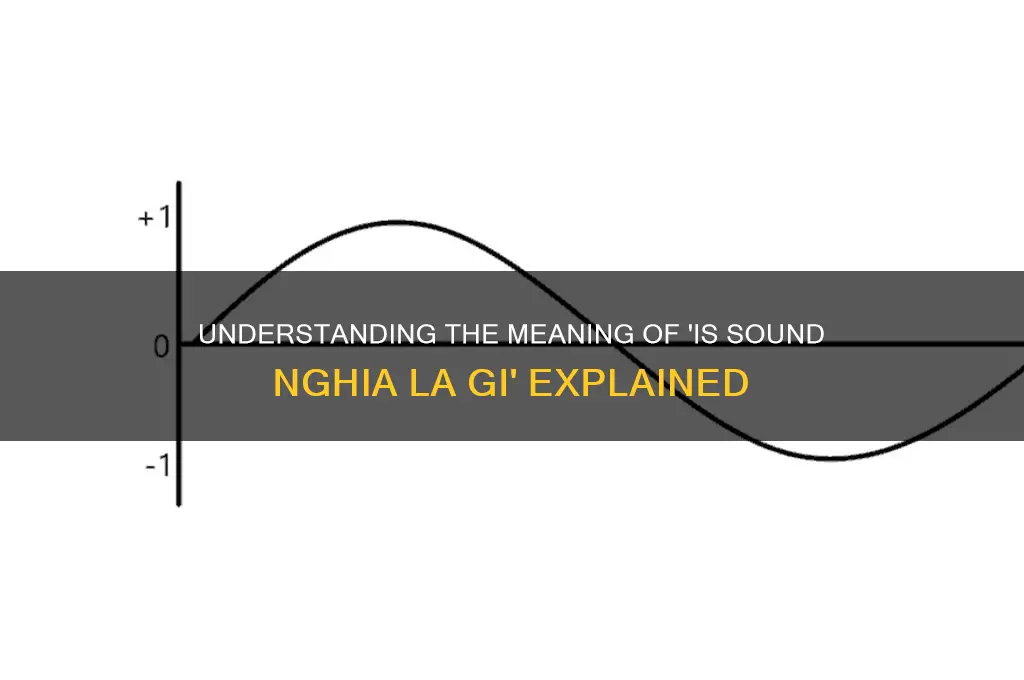 is sound nghia la gi