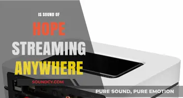 Where to Stream 'Sound of Hope'?