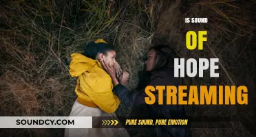 Is Sound of Hope Streaming? Where to Watch the Inspirational Film