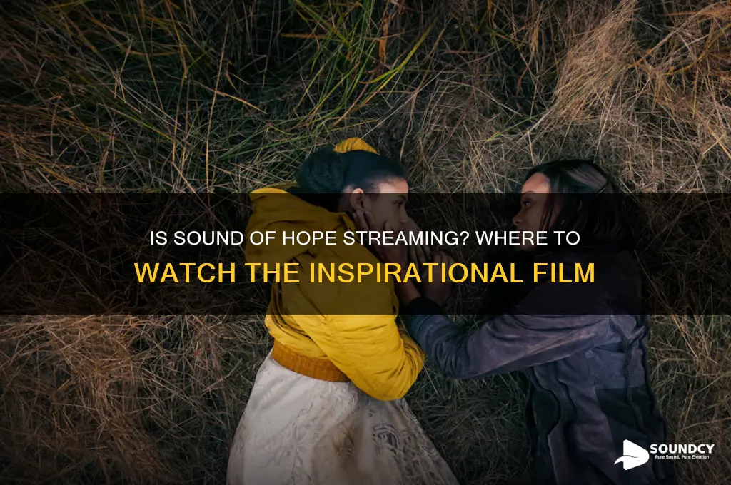is sound of hope streaming