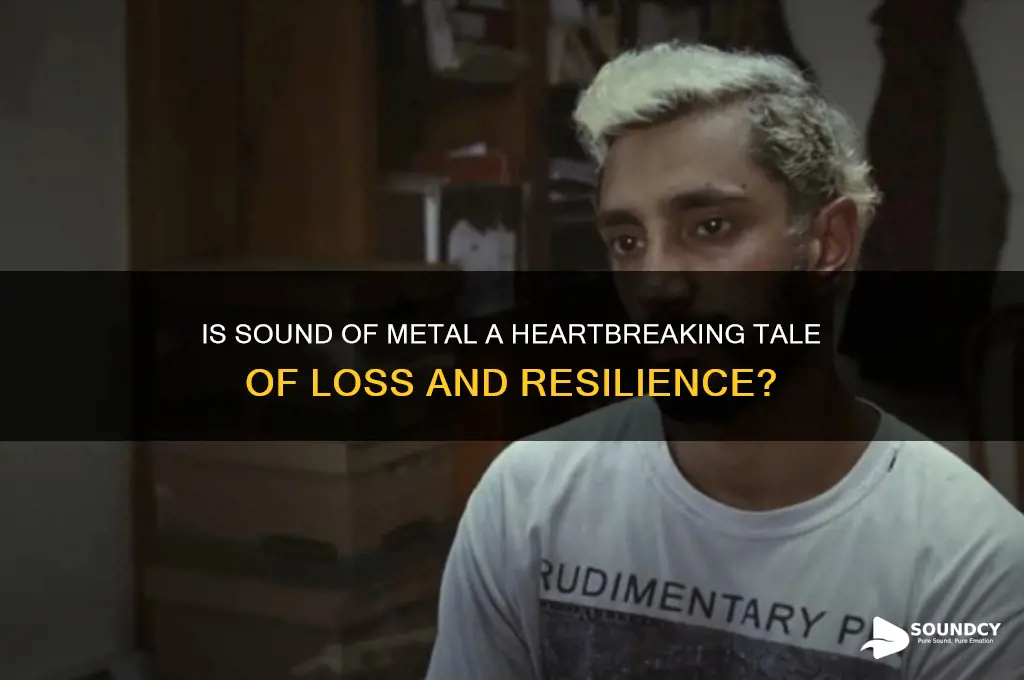is sound of metal sad