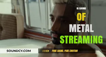 Is Sound of Metal Streaming? Where to Watch the Acclaimed Film