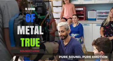 Is Sound of Metal Based on a True Story?