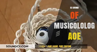 Exploring the Intersection of Musicology and the Sound of AOE