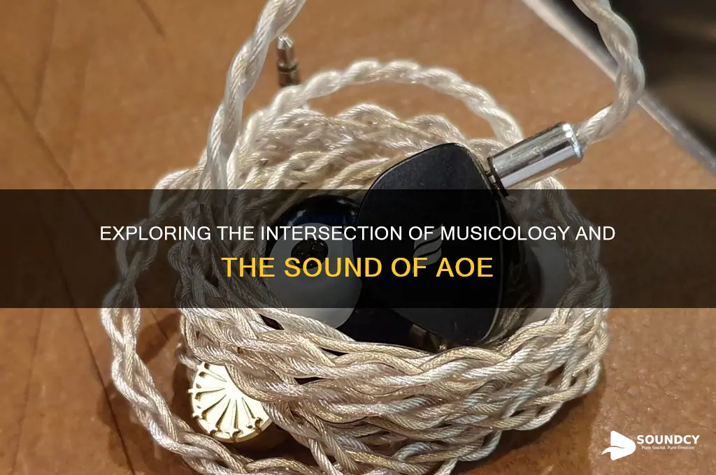is sound of musicolology aoe