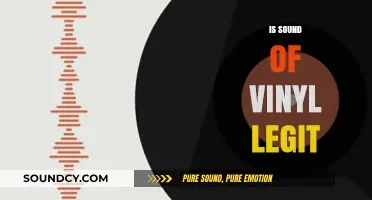 Is Sound of Vinyl Legit? Uncovering the Truth About This Vinyl Store