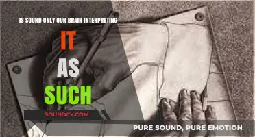 The Illusion of Sound: How Our Brains Shape Sonic Perception