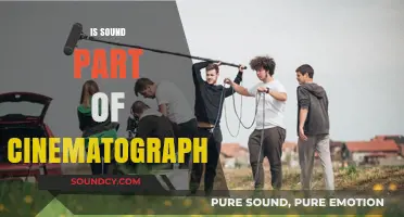 Is Sound a Silent Partner in Cinematography? Exploring Its Role