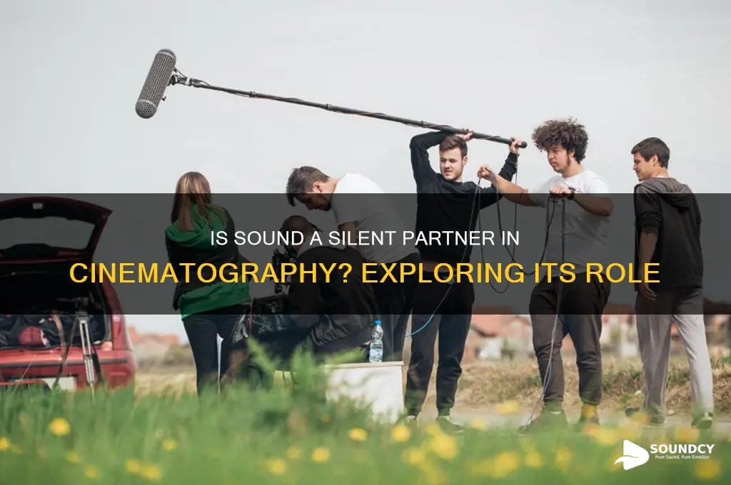 is sound part of cinematography