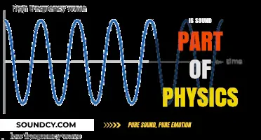 Exploring Sound: Its Role and Significance in the Field of Physics