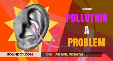 Sound Pollution: A Growing Environmental Threat to Health and Well-being