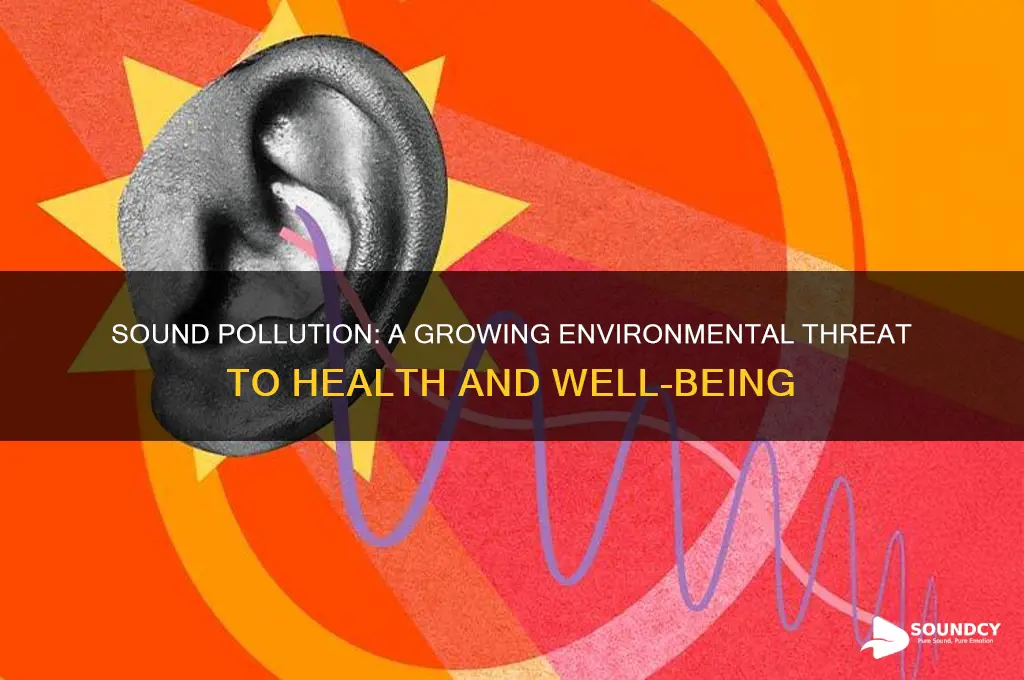 is sound pollution a problem