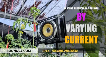 Understanding Speaker Sound Production: The Role of Varying Current