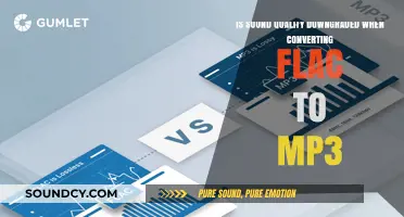 Does FLAC to MP3 Conversion Affect Sound Quality?