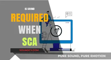 Is Sound Necessary for SCA Compliance? Exploring Accessibility Requirements