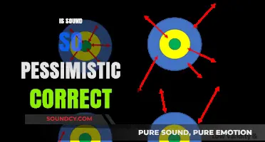 Is Sound Pessimism Justified? Exploring the Validity of Negative Outlooks