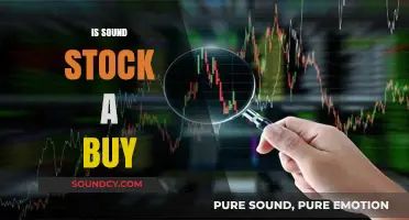 Is Sound Stock a Buy? Analyzing Growth Potential and Risks