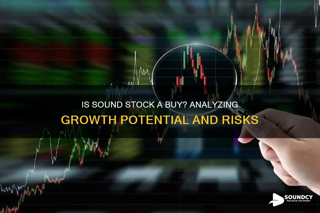 is sound stock a buy