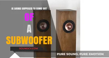 Understanding Subwoofers: The Science Behind Low-Frequency Sound
