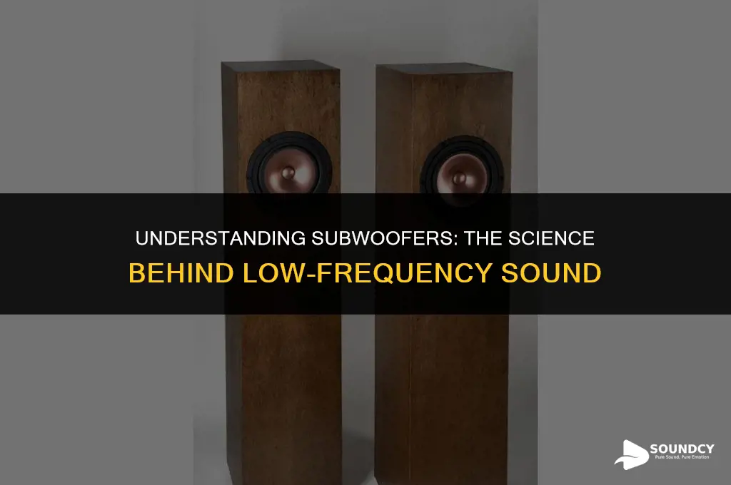 is sound supposed to come out of a subwoofer