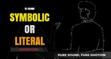 Is Sound Symbolic or Literal? Decoding Language's Hidden Connections