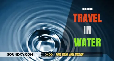 Does Sound Travel in Water? Exploring Aquatic Sound Waves