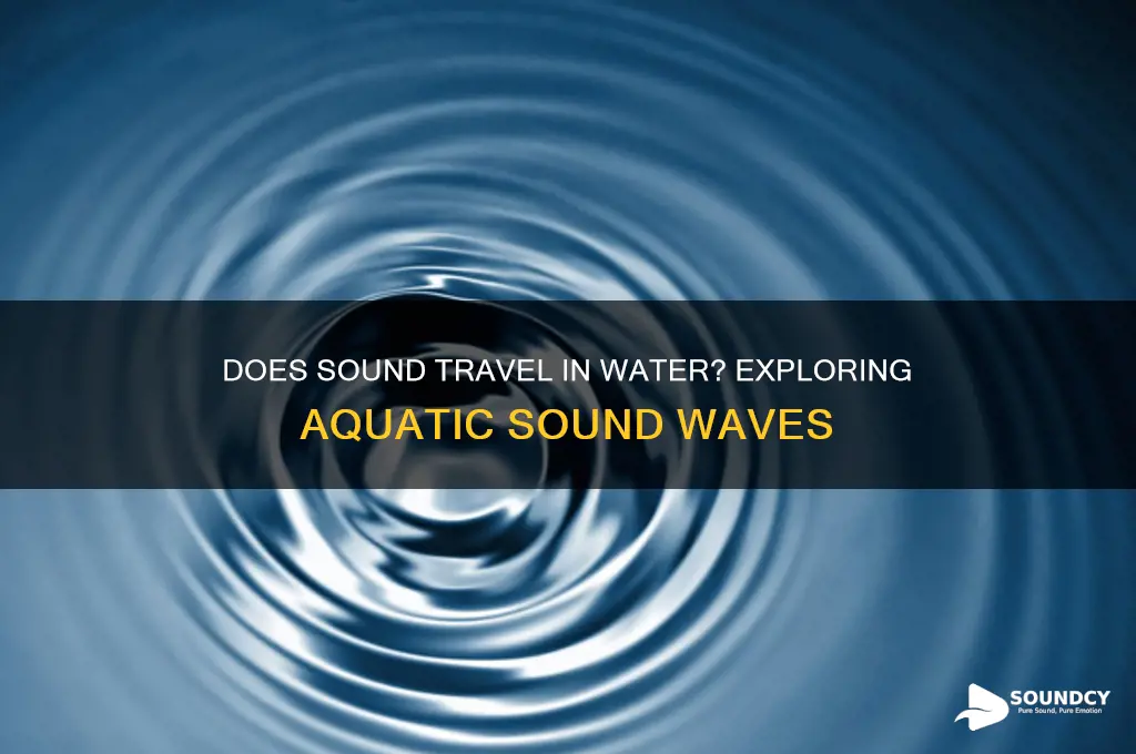 is sound travel in water