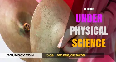 Exploring Sound: Its Physical Science Classification and Fundamental Principles