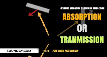 Exploring Sound Vibration: Reflection, Absorption, or Transmission?