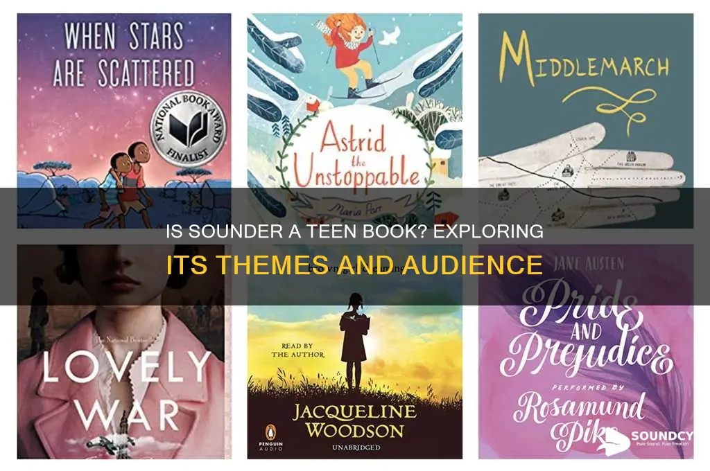 is sounder a teen book