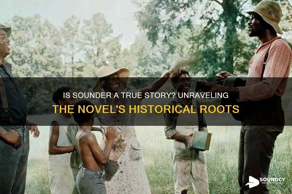 is sounder a true story