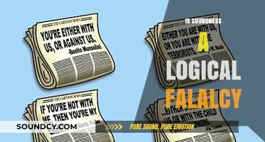 Is Soundness a Logical Fallacy? Debunking Common Misconceptions
