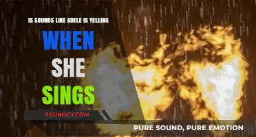 The Power of Adele's Voice: Yelling or Singing?