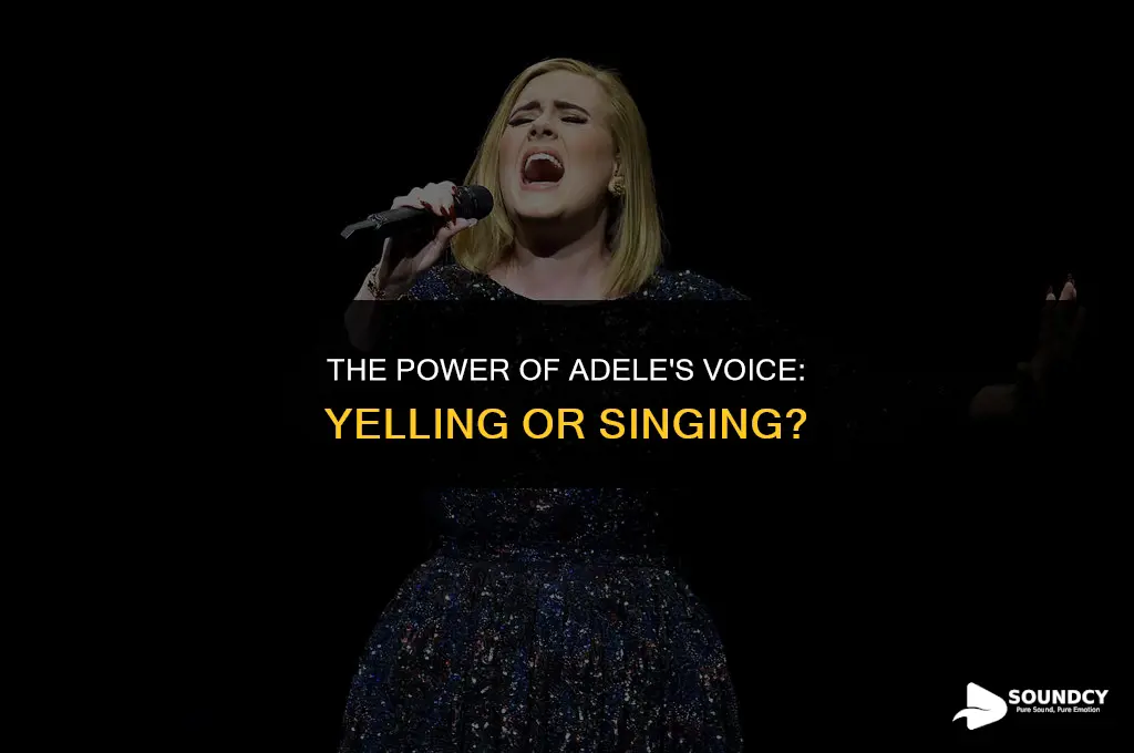 is sounds like adele is yelling when she sings