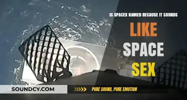 Decoding SpaceX: The Truth Behind the Name and Its Cosmic Implications