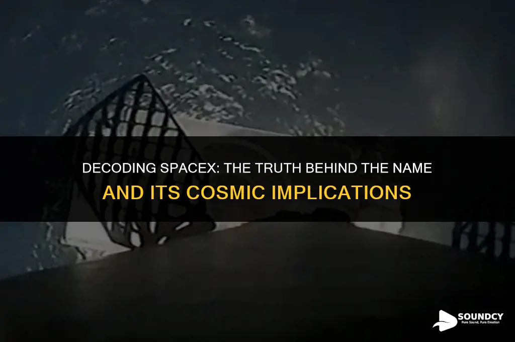 is spacex named because it sounds like space sex