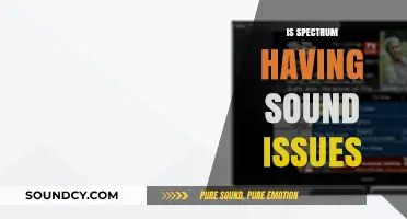 Spectrum Sound Problems: Troubleshooting Audio Issues and Finding Solutions