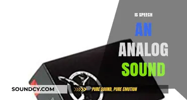 Is Speech Analog? Exploring the Nature of Spoken Sound