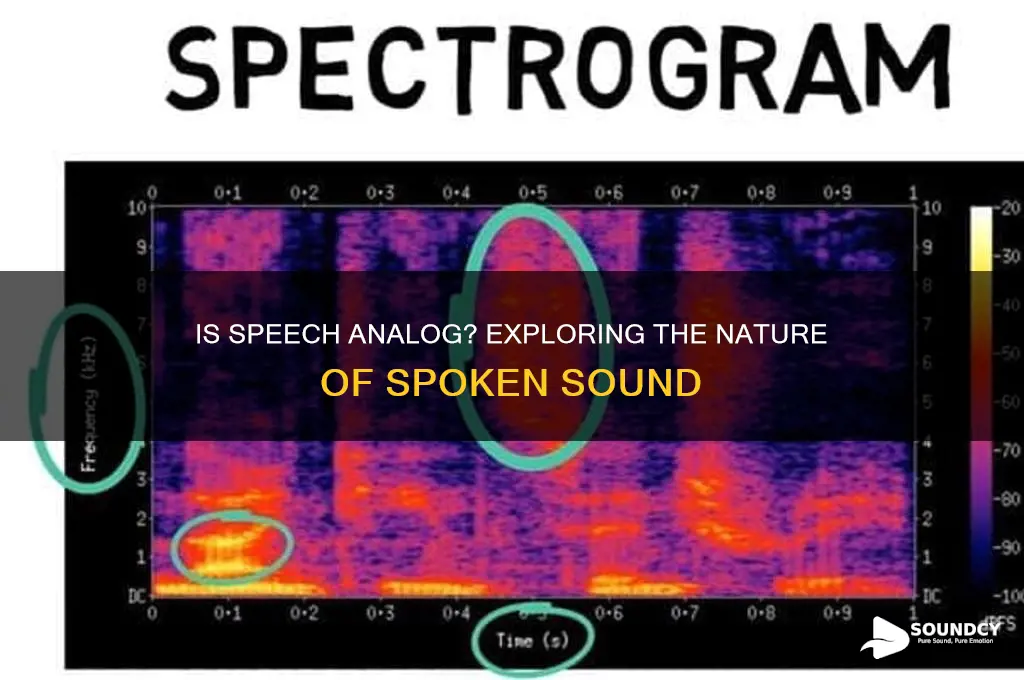 is speech an analog sound