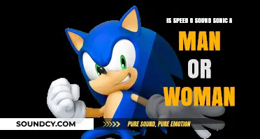 Decoding Sonic's Gender: A Deep Dive into the Hedgehog's Identity