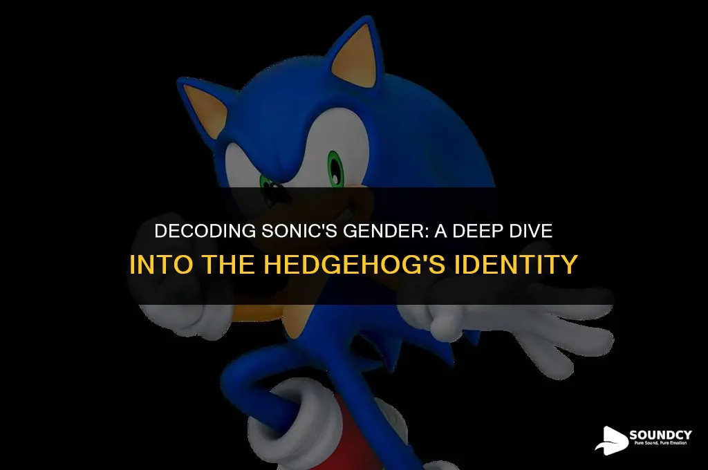 is speed o sound sonic a man or woman