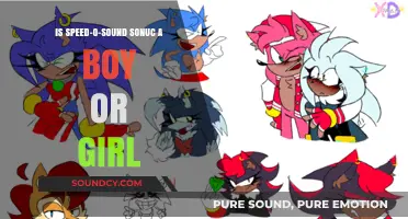Exploring the Sonic Gender Mystery: Speed-o-Sound Sonuc's Identity