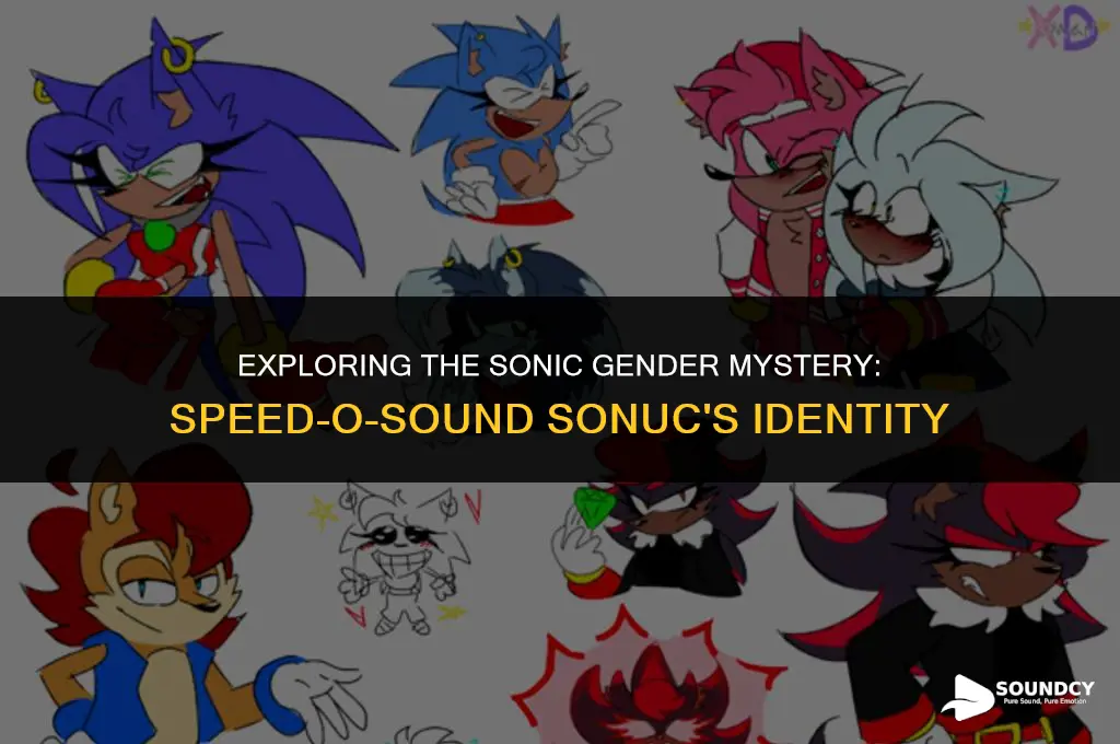 is speed-o-sound sonuc a boy or girl