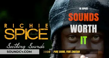 Is Spice Sounds Worth It? A Comprehensive Review and Analysis