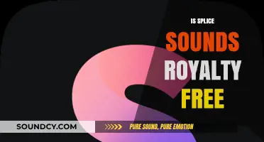 Is Splice Sounds Royalty-Free? Understanding Usage Rights and Licensing