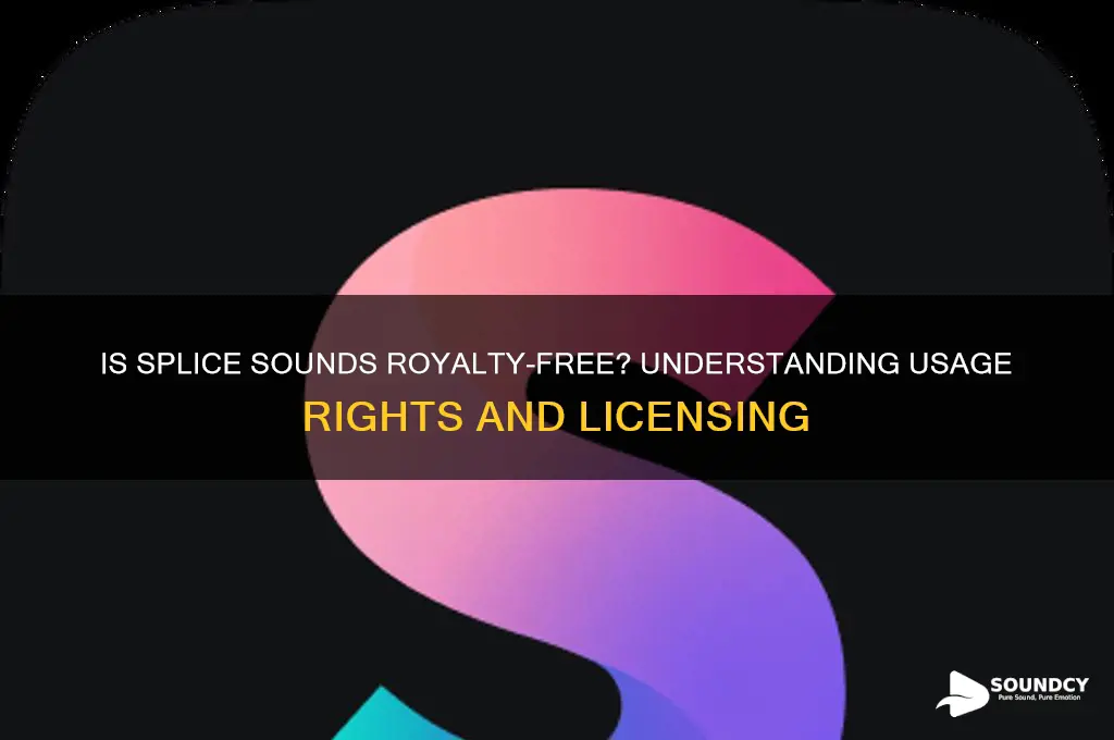 is splice sounds royalty free
