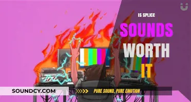 Is Splice Sounds Worth It? A Comprehensive Review and Analysis
